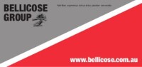 Bellicose group