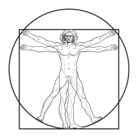 Bell plaza physical therapy
