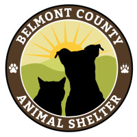 Belmont county animal shelter