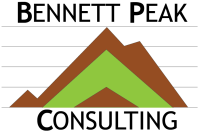 Bennett peak consulting