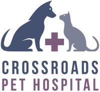 Bergheim pet hospital & clinic