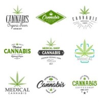 Be. the cannabis store