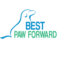 Best paw forward dog education