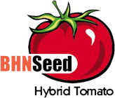 Bhn research