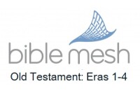 Biblemesh institute