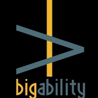 Bigability