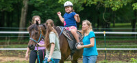 Big stride therapy