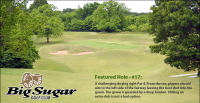 Big sugar golf club