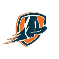 Big swift kick | recruiting sales executives