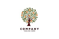 Big talks workshops