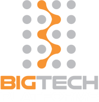 Bigtech platforms