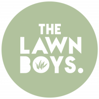 The lawn boys