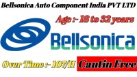 Bellsonica auto components india ltd
