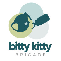 The bitty kitty brigade