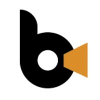 Bizcast llc
