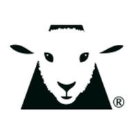 Black sheep accountants