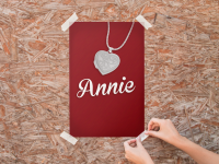 Blame it on annie