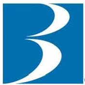 Brandywine liquidators inc