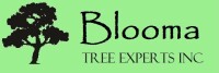 Blooma tree experts llc