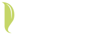 Bloom financial company