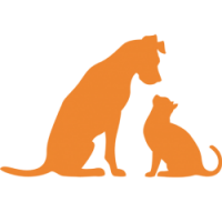 Bloomingpaws, llc