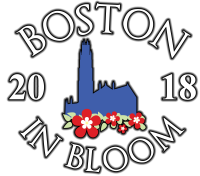 Blooms of boston