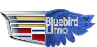 Blue bird limousine