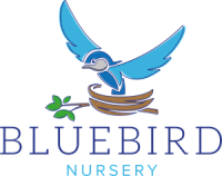 Blue bird nursery