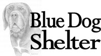 Brockton blue dog shelter