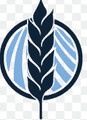 Blue field capital