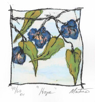 Blue fig editions