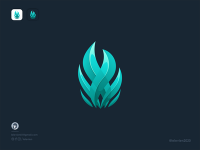 Bluefire interactive