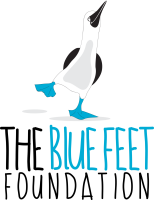 Blue footed co