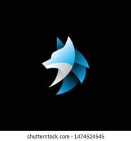 Blue fox photography
