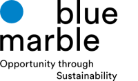 Blue marble books
