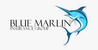 Bluemarlin financial group