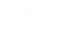 Blueridge consultants