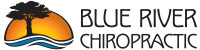 Blue river chiropractic llc