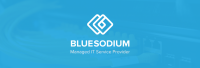Bluesodium - managed it services provider