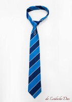 Blue tie photo