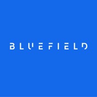 Blue traffic - internet marketing