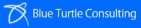 Blue turtle consulting
