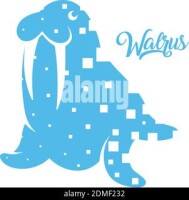 Blue walrus