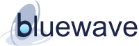 Blue wave consulting