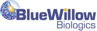 Blue willow