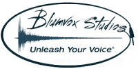 Blumvox studios
