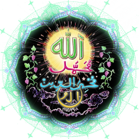 Bawa muhaiyaddeen fellowship