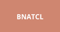 Bna technology consulting pvt ltd