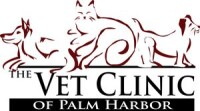Cat hospital at palm harbor