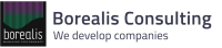 Borealis consulting